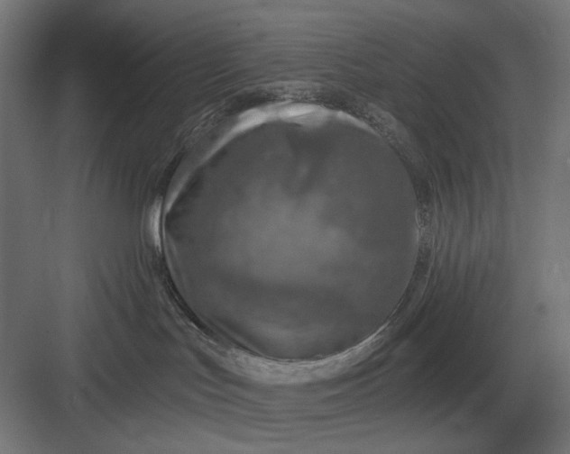 X0000082930047200702152159