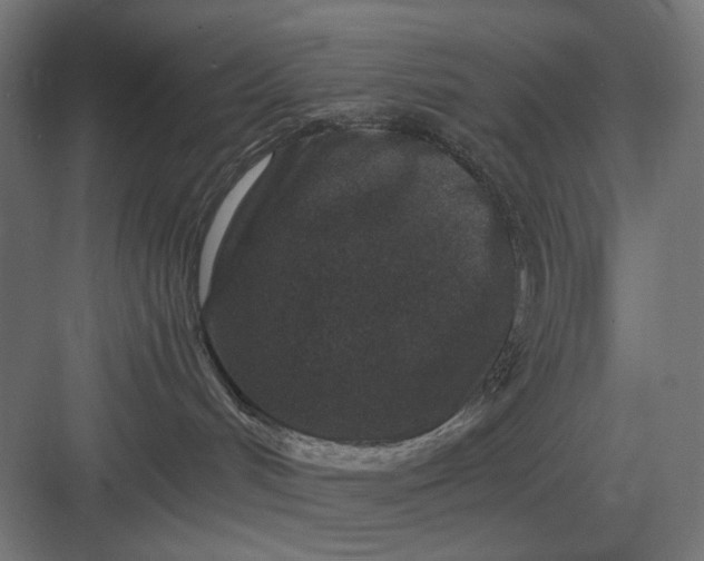 X0000082930048200702152158