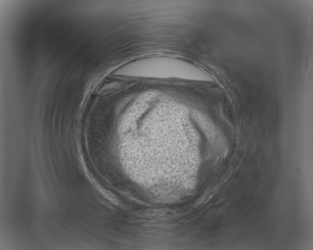 X0000082930049200702152158