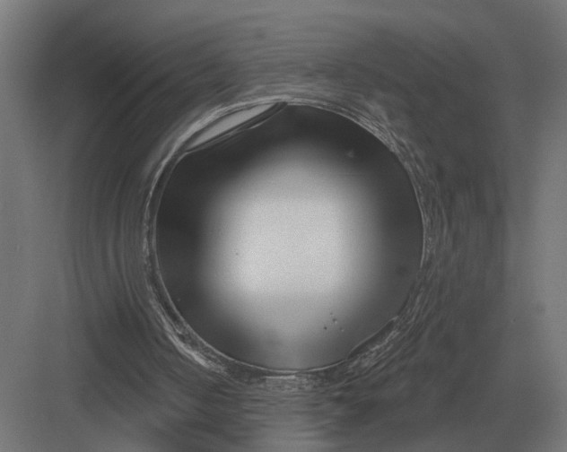 X0000082930050200702152158