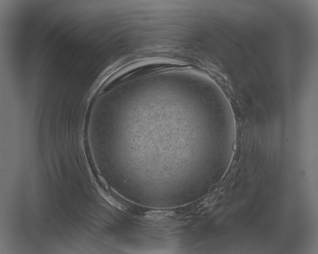 X0000082930051200702152158