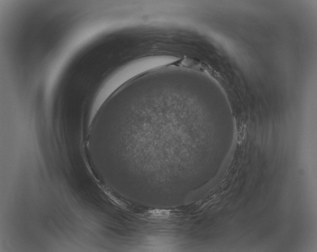 X0000082930052200702152158