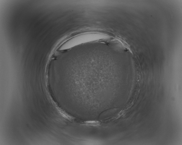 X0000082930053200702152158