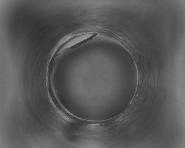 X0000082930054200702152158