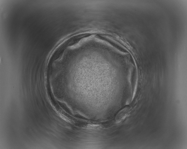 X0000082930055200702152158