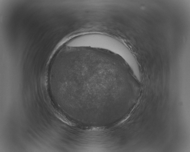 X0000082930056200702152158