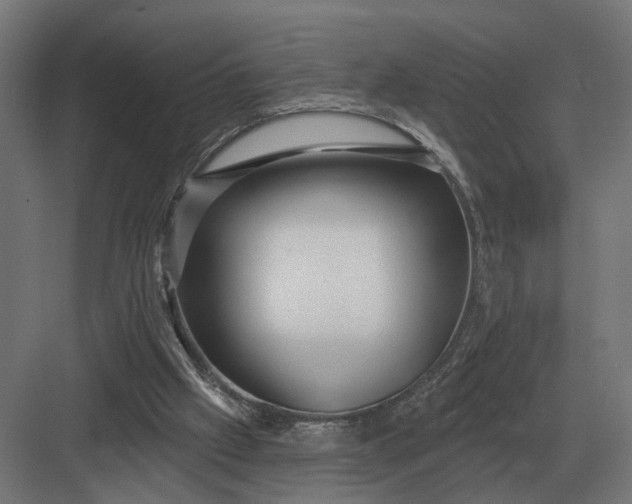 X0000082930057200702152158