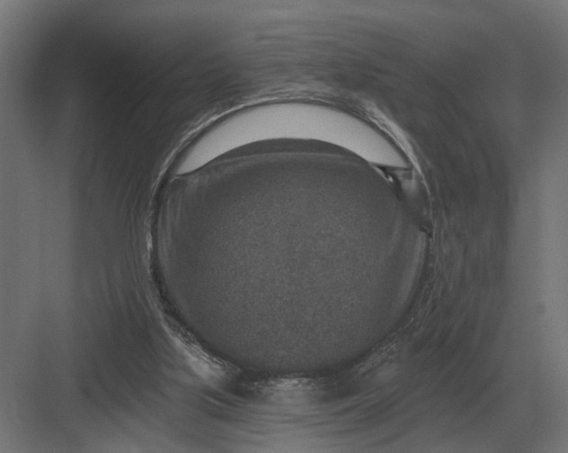 X0000082930059200702152158