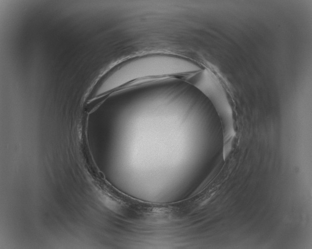 X0000082930060200702152158