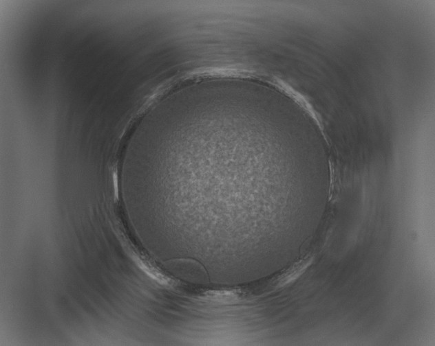 X0000082930061200702152158