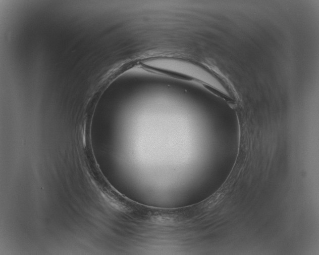 X0000082930062200702152158