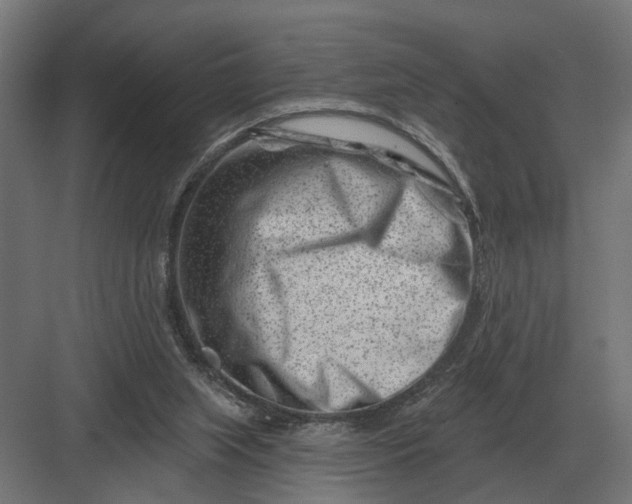 X0000082930063200702152158