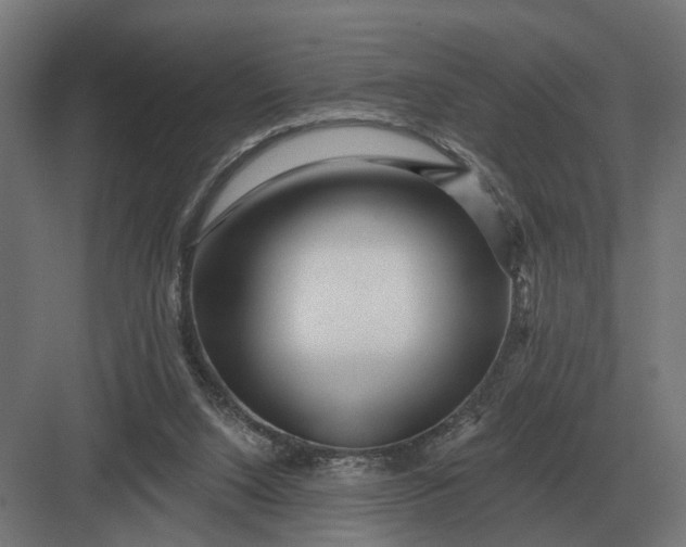 X0000082930064200702152158