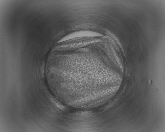 X0000082930065200702152158