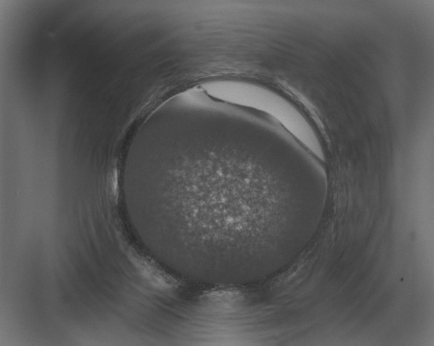 X0000082930067200702152158