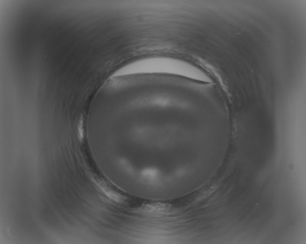 X0000082930069200702152158