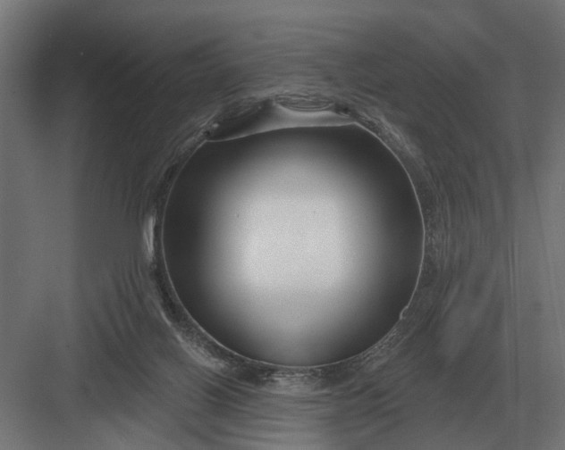 X0000082930070200702152158