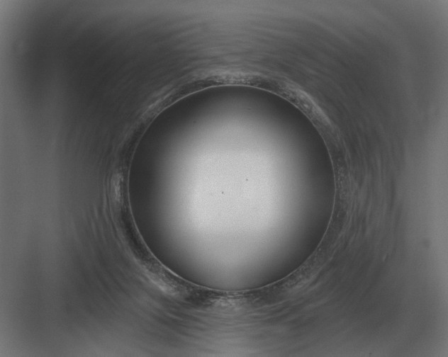 X0000082930071200702152158