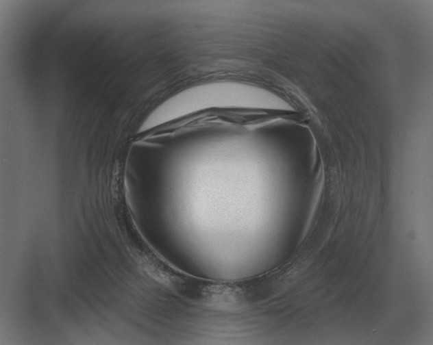 X0000082930073200702152158