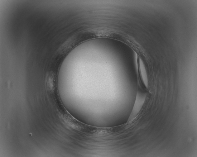 X0000082930074200702152158