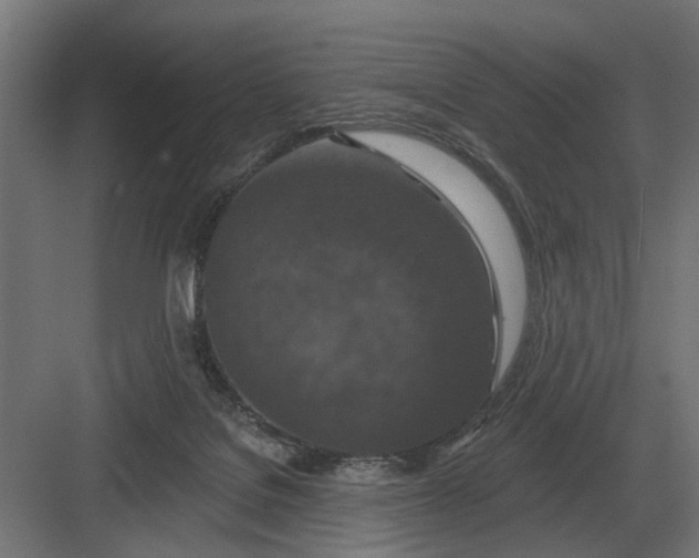 X0000082930076200702152158