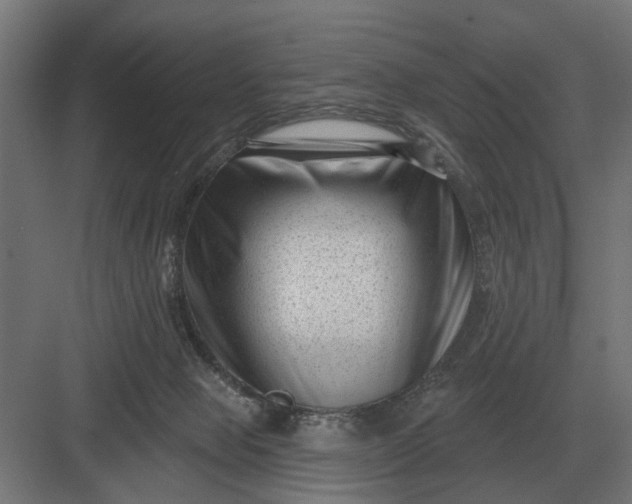 X0000082930077200702152158