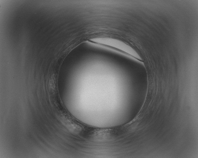 X0000082930078200702152158