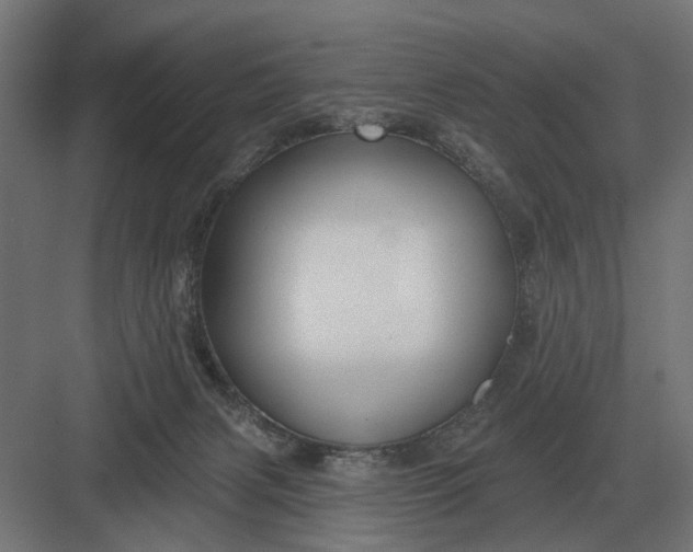 X0000082930079200702152158