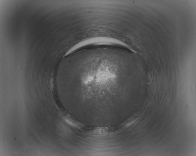 X0000082930080200702152158