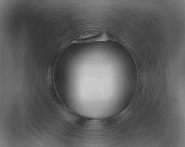 X0000082930082200702152158