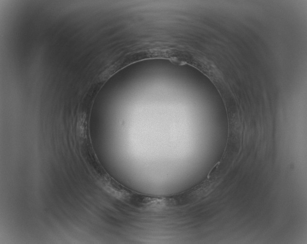 X0000082930083200702152158