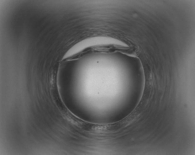 X0000082930084200702152158