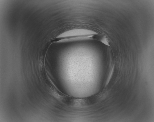 X0000082930085200702152158