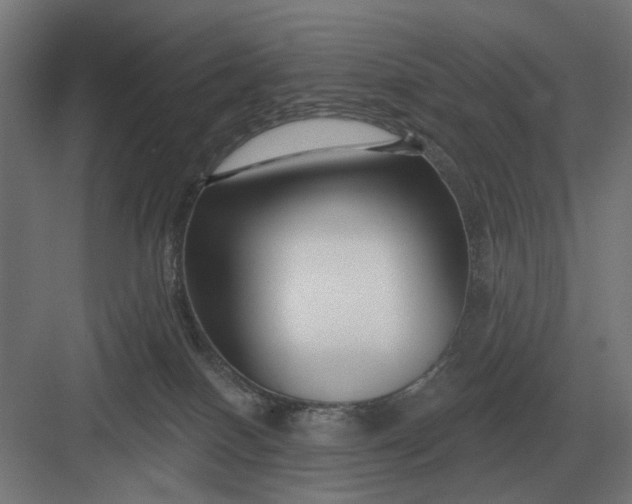 X0000082930086200702152158