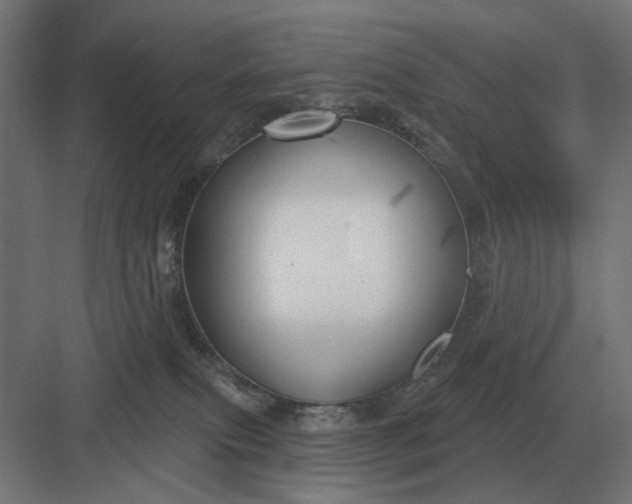 X0000082930087200702152158