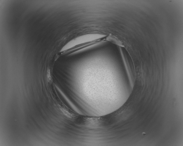 X0000082930089200702152158