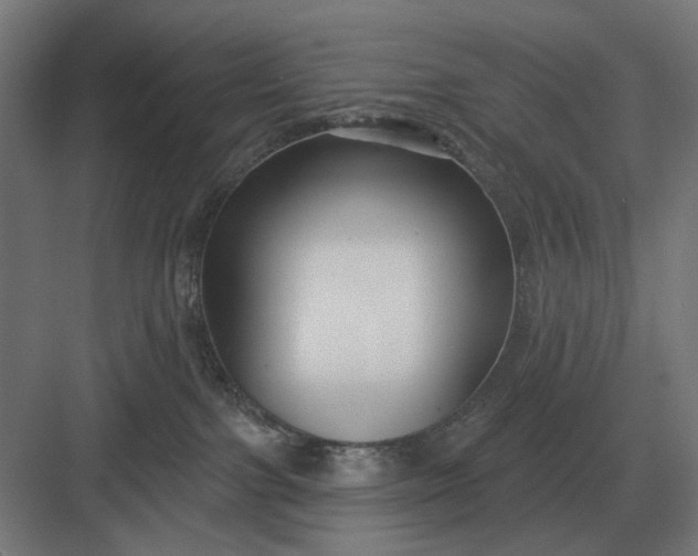 X0000082930091200702152158