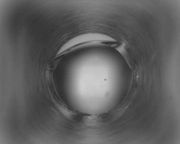 X0000082930092200702152158