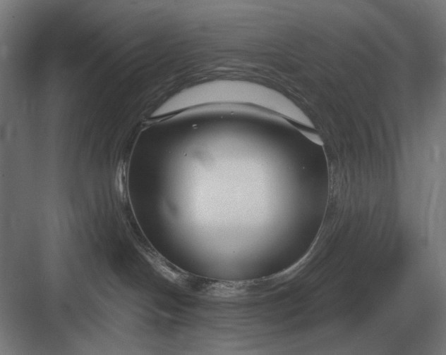 X0000082930094200702152158