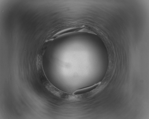 X0000082930096200702152158