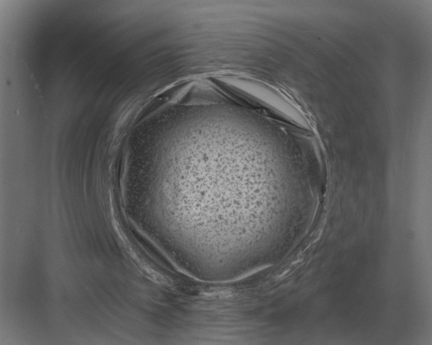 X0000082930097200702152158