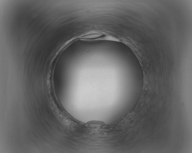 X0000082930098200702152158