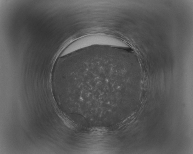 X0000082930099200702152158