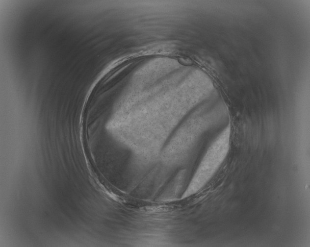 X0000082930100200702152158