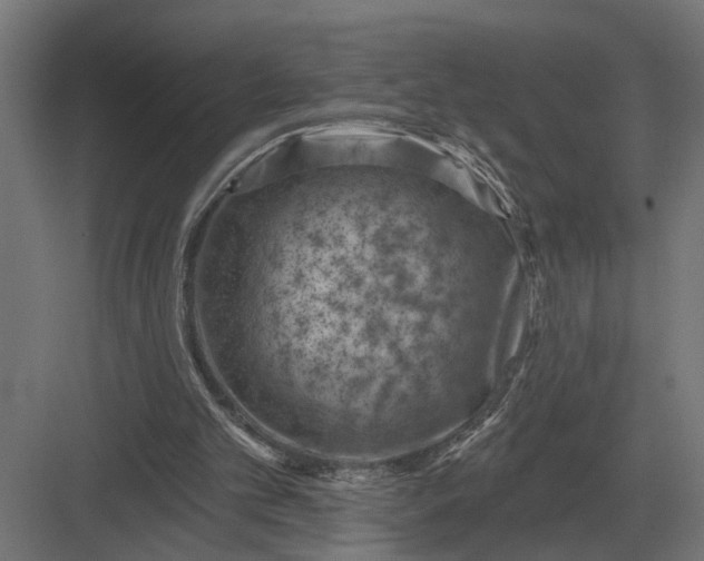 X0000082930101200702152158