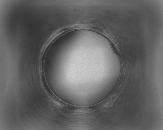 X0000082930103200702152158