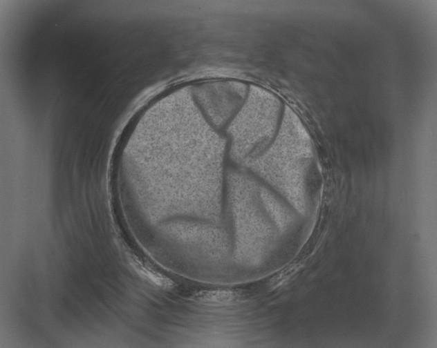 X0000082930104200702152158