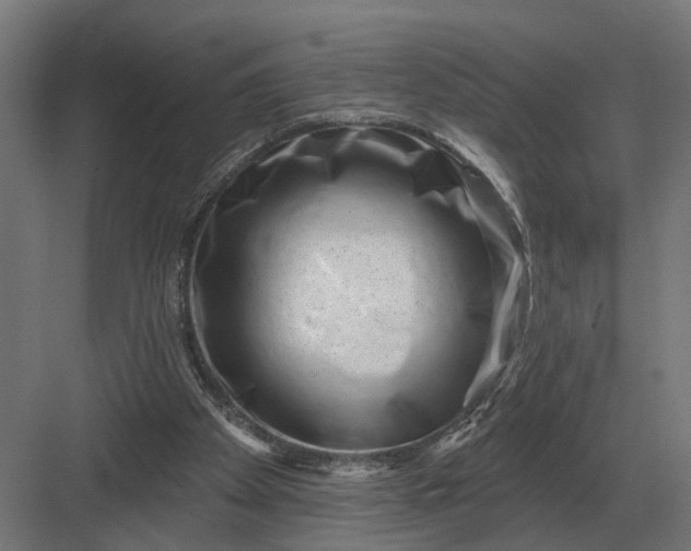 X0000082930105200702152158