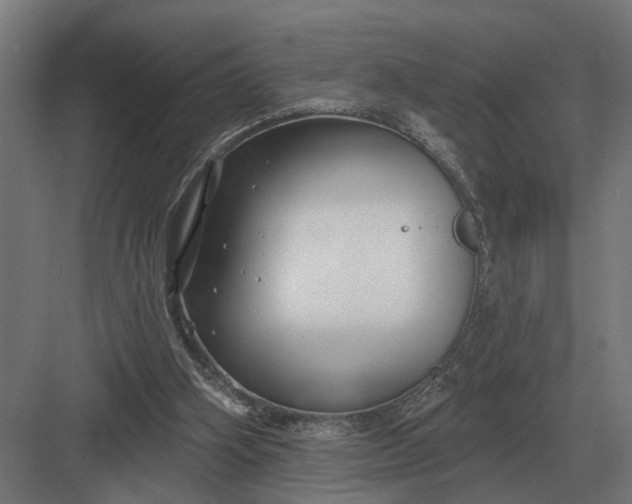 X0000082930106200702152158