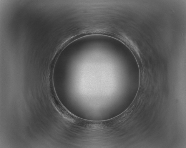 X0000082930107200702152157